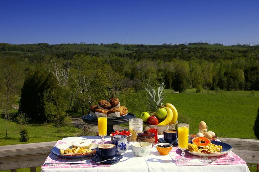 Our Valley View Bed & Breakfast Hampton Extérieur photo