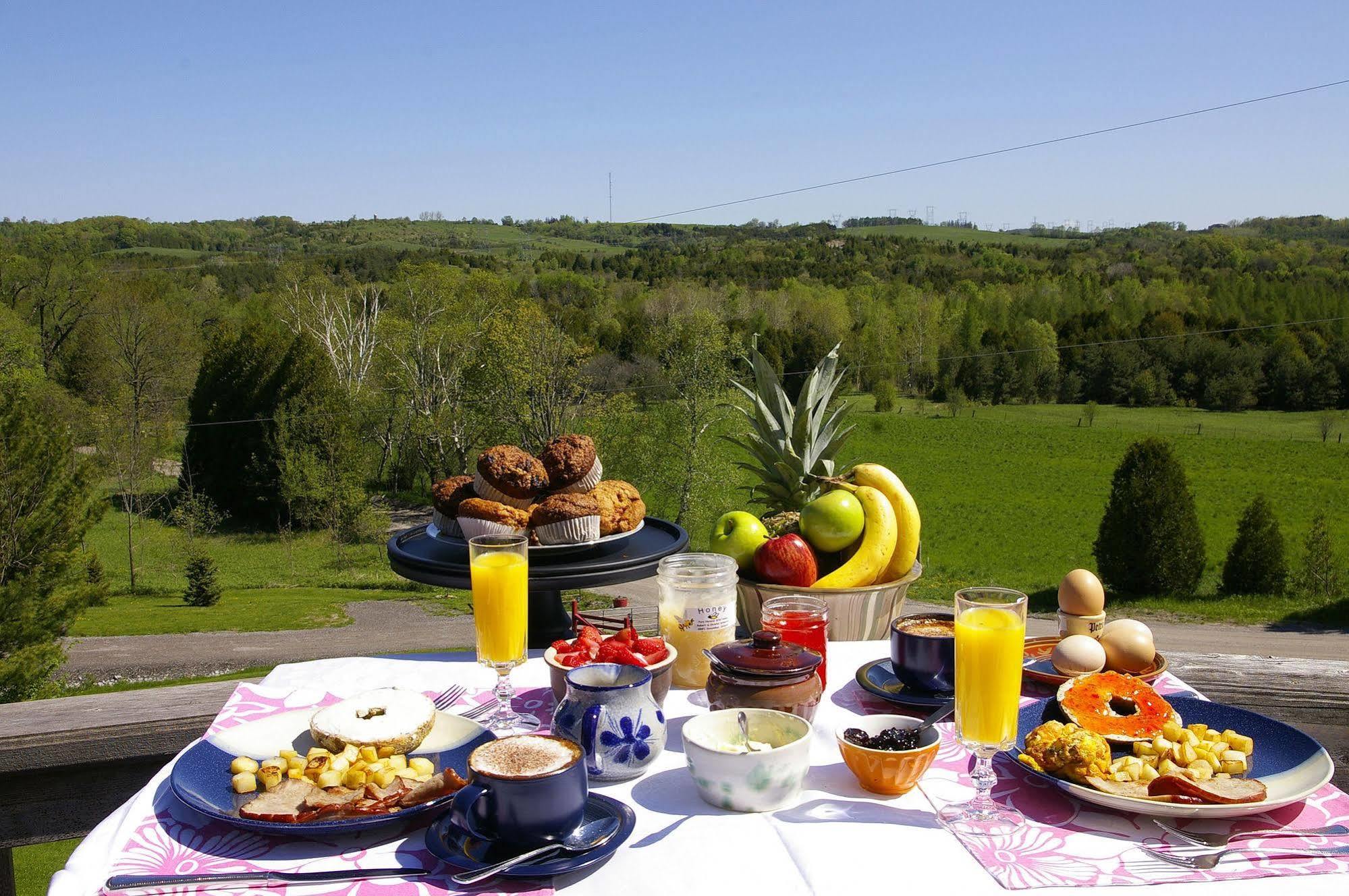 Our Valley View Bed & Breakfast Hampton Extérieur photo